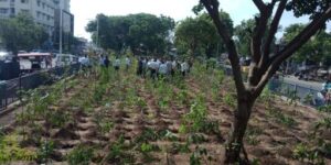 Privatisation of tree plantation in Ahmedabad