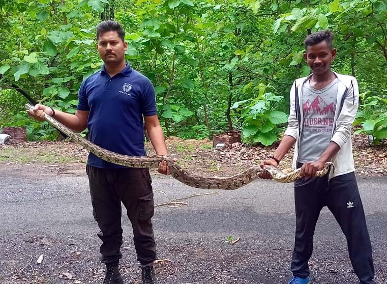 Rescue of a python trapped in a fish net in Ansudaria village