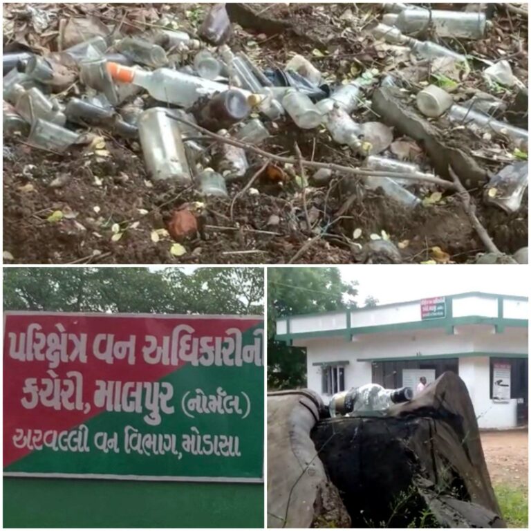 Heap of empty liquor bottles in the Malpur Forest Department compound