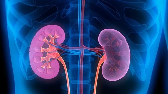 viral-infection-in-monsoon-causes-a-lot-of-kidney-damage