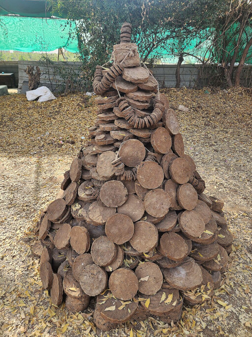 Vedic Holi Kit from cow Dung