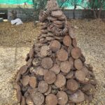 Vedic Holi Kit from cow Dung