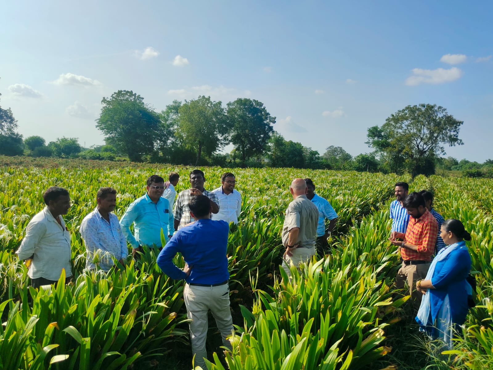 A full-crop subject expert from the Netherlands visited the Jamalpur flower market